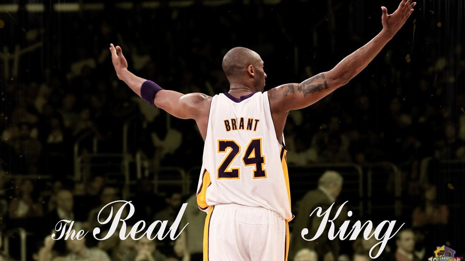 史上最“燃”比赛瞬间：镜头捕捉每个令人激情澎湃的时刻